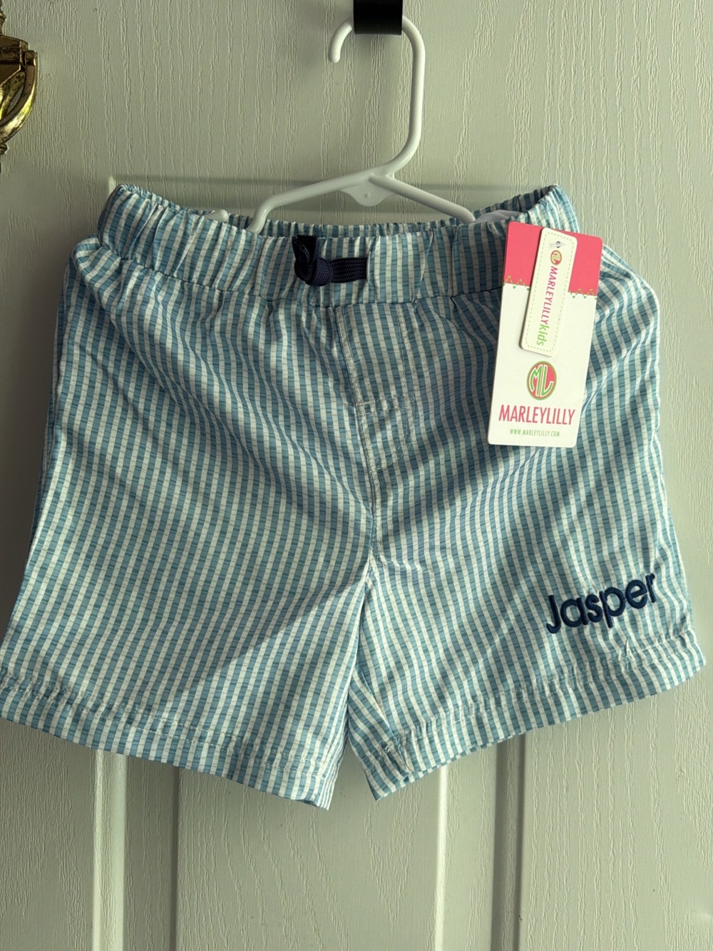 “ Jasper “ swim trunks